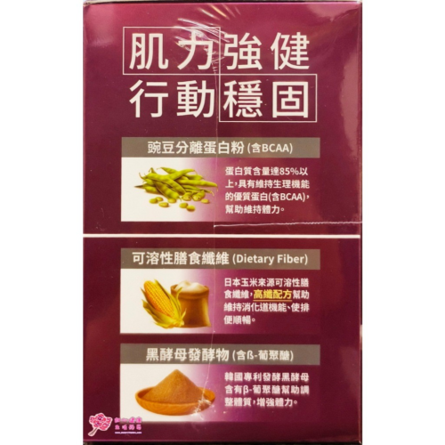 【固營】肌力關鍵植物蛋白粉(15包/盒)奶素可食