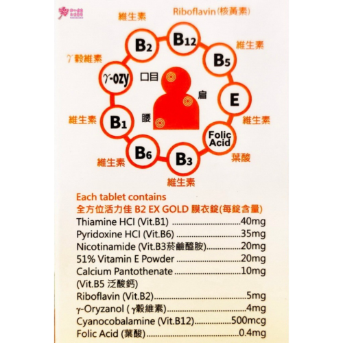 【野菜園】全方位活力佳B2 EX GOLD膜衣錠 (120粒/瓶) 維生素B1、B2、B6、B12、維生素E